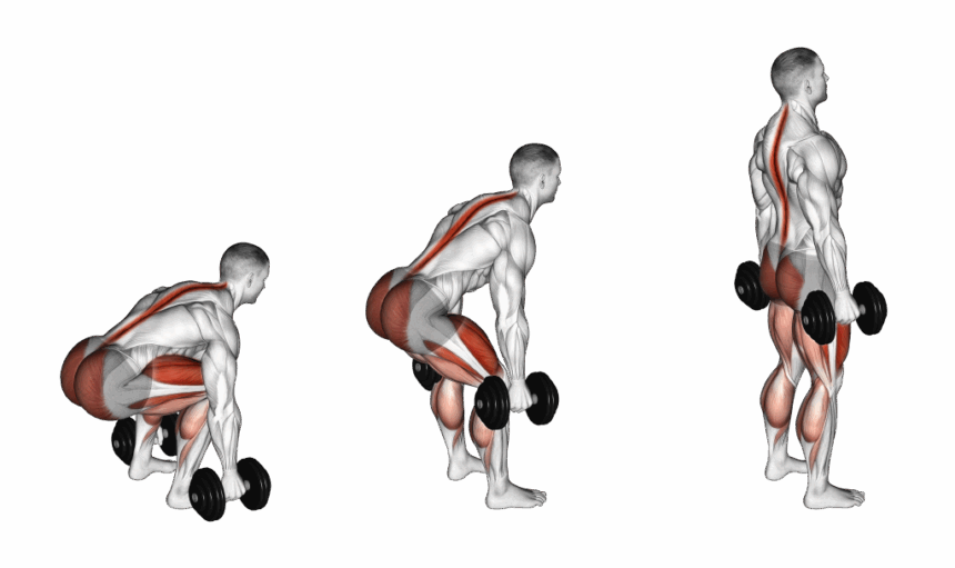 Effective Lower Back Dumbbell Exercises for Strength & Stability Black ...